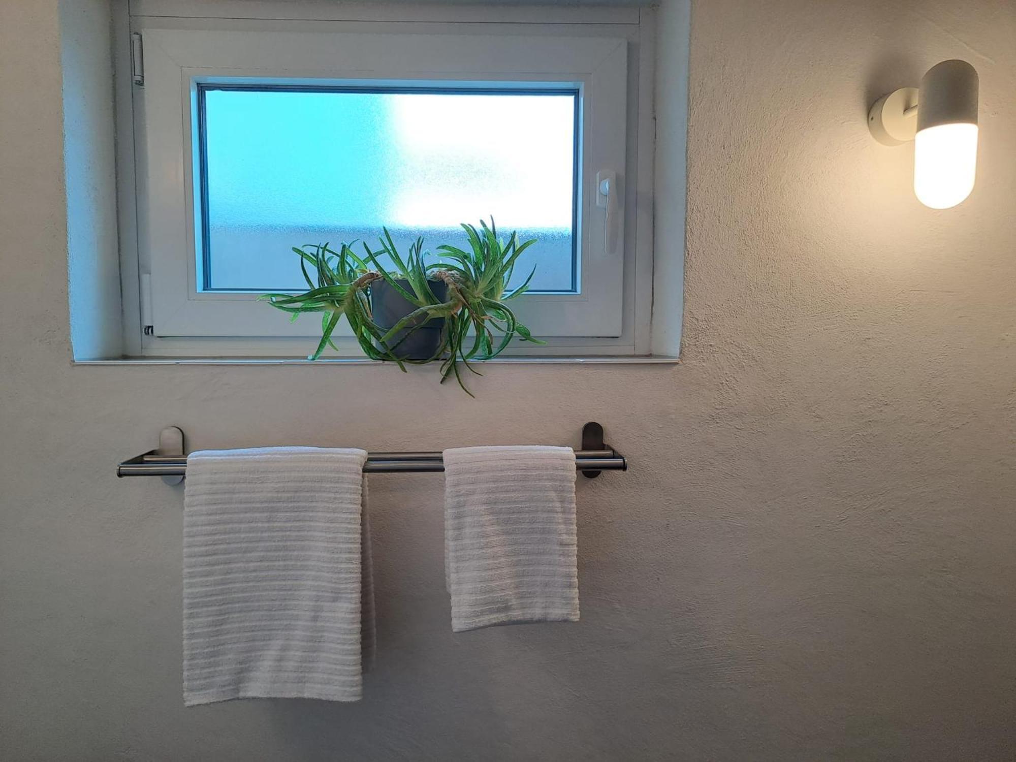 Souterrain-Apartment in Wehlheiden Kassel Buitenkant foto